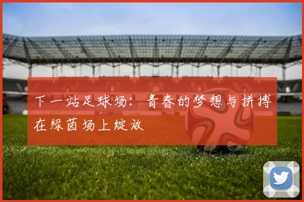 下一站足球场：青春的梦想与拼搏在绿茵场上绽放