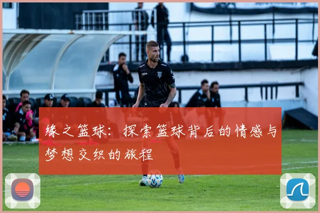 缘之篮球：探索篮球背后的情感与梦想交织的旅程