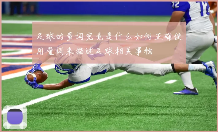 足球的量词究竟是什么如何正确使用量词来描述足球相关事物