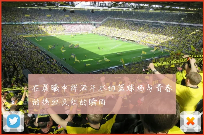 在晨曦中挥洒汗水的篮球场与青春的热血交织的瞬间