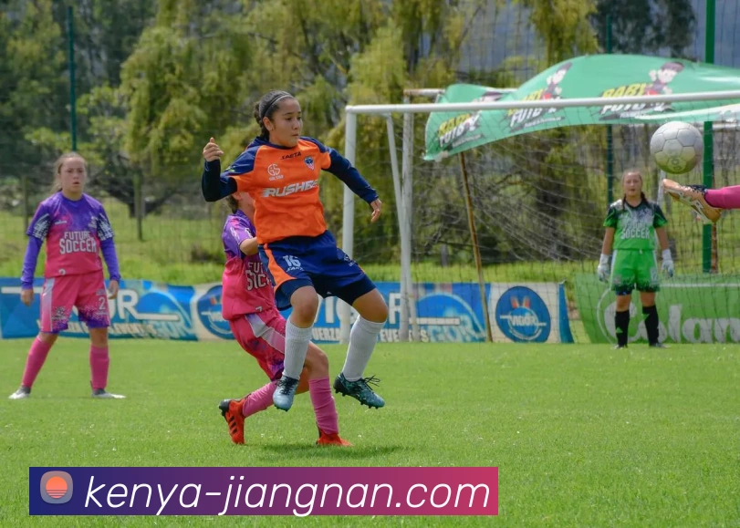 江南体育APP 封面图